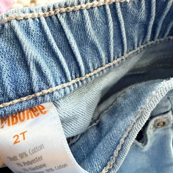 Gymboree Purple Floral and Butterfly Outfit Toddler Girl - Picture 9 of 9